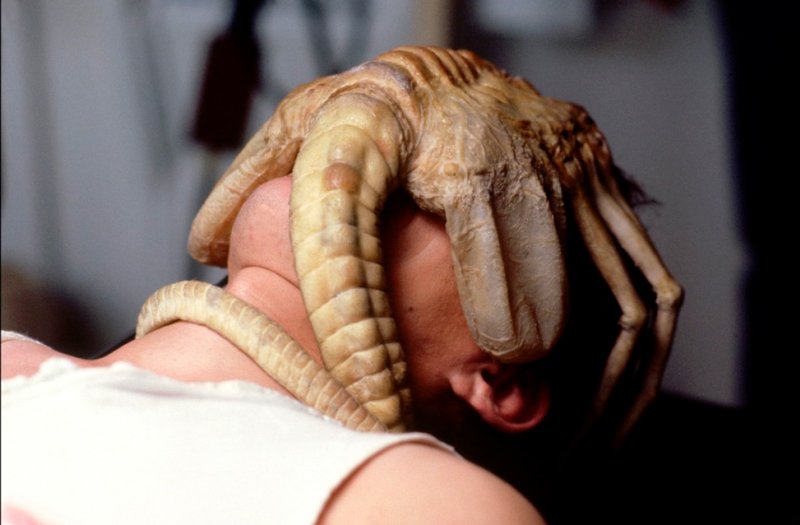 Um facehugger.