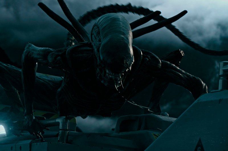 Um xenomorfo.