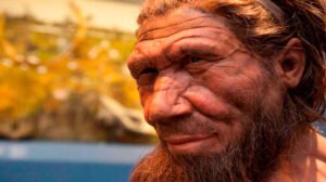 Reconstrução de um Homem de Neandertal pelo Museu de História Natural.